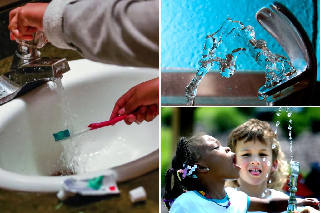 Fluoride in drinking water at twice recommended limit linked to lower IQ in children: US government report